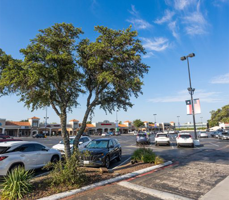 Two small trees in a median in a parking lot