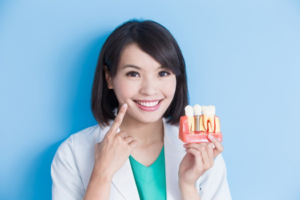 a dentist holding a model of dental implants 